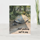 Recherche de turtle birthday cards Famille