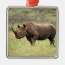 Recherche de rhinocéros ornements Afrique