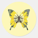 Search for butterfly sunflower stickers Summer