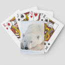 Search for danita delimont playing cards Bear