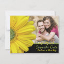 Search for yellow gerbera Black