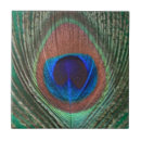 Search for peacock green tiles Peafowl