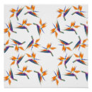 Recherche de motif exotique posters Fleurs