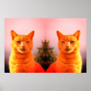 Recherche de jumeau posters Chats