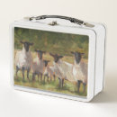 Search for sheep lunch boxes Lambs