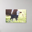 Search for two sided art Animal