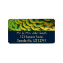 Search for gold peacock return address labels Feathers
