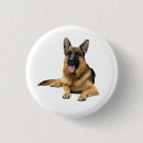 Search for german shepherd dog buttons Breed