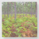 Recherche de cap vert maison deco Images gallo