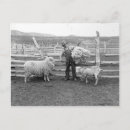 Search for bundle postcards Vintage