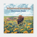 Search for roosevelt Bison