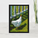 Search for spring chicken birthday cards Aging