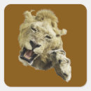 Search for clawing stickers Paws