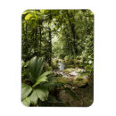 Recherche de courant magnets Nature