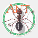 Search for ant stickers Wildlife