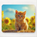 Search for ginger cat electronics Flowers