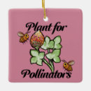 Search for plants ornaments Gardener