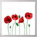 Recherche de fleurs rouges posters Aquarelle