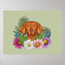 Search for vizsla art Nature