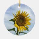 Search for sunflower ornaments Yellow