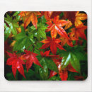 Search for warm colours mousepads Fall
