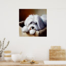 Recherche de coton art Dog