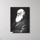 Search for evolution of photography Darwin