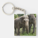 Search for asian keychains Animals