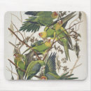 Search for audubon mousepads 1829