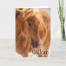 Search for equine thank you cards Horse
