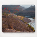 Search for big mousepads Landscape