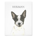 Recherche de chien blanc posters Mère de chien