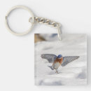 Search for bluebird keychains Wild
