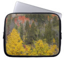 Search for fall foliage cases Colour