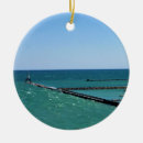 Search for lake michigan ornaments Water