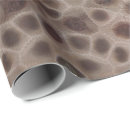 Search for fossil wrapping paper Stone