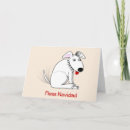 Search for fleas cards Dog