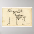 Recherche de copie antique Pour lui