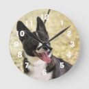 Recherche de corgi horloges Animal
