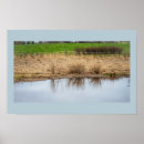Search for waterscapes posters Reflections