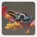 Search for poison stickers Nature