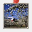 Search for orchard ornaments Harvest