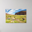 Search for alpaca canvas prints Bolivia