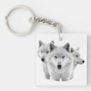 Search for arctic wolf keychains Snow