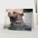 Search for yellowstone invitations Wildlife