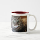 Recherche de minou mugs bouteilles Photographie