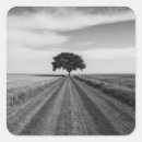 Search for witness stickers Nature