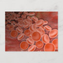 Search for cells postcards Detail