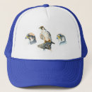 Search for bird of prey hats Peregrine