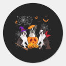 Search for funny boston terrier stickers Trick or treat